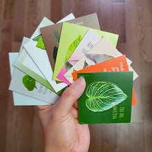 Load image into Gallery viewer, 10 Assorted Blank Plant Cards: 3&quot; x 3&quot; with assorted envelopes
