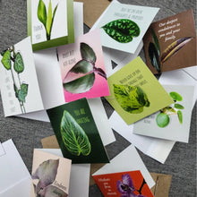 Load image into Gallery viewer, 10 Assorted Blank Plant Cards: 3&quot; x 3&quot; with assorted envelopes
