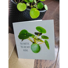 Load image into Gallery viewer, 10 Assorted Blank Plant Cards: 3&quot; x 3&quot; with assorted envelopes
