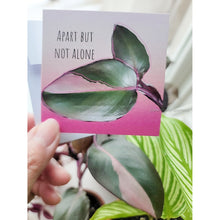 Load image into Gallery viewer, 10 Assorted Blank Plant Cards: 3&quot; x 3&quot; with assorted envelopes
