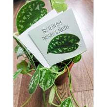 Load image into Gallery viewer, 10 Assorted Blank Plant Cards: 3&quot; x 3&quot; with assorted envelopes
